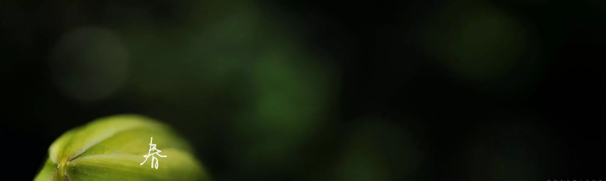新用户专享